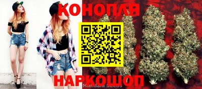 Альфа ПВП Коммунар